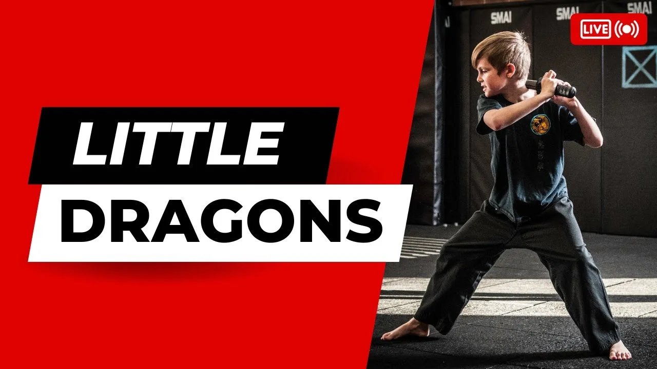 Wu Xing Dao Little Dragons kids kung fu class