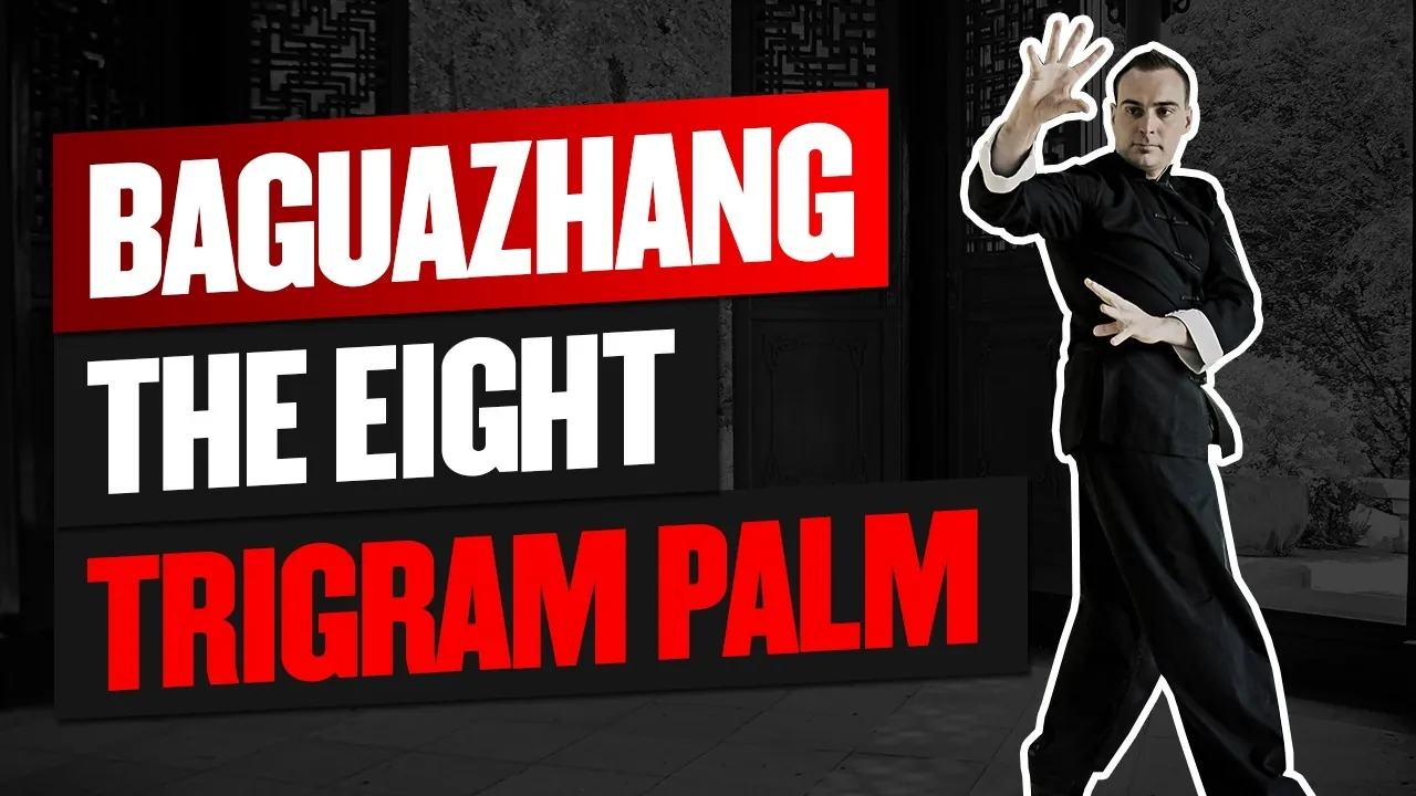 Baguazhang video