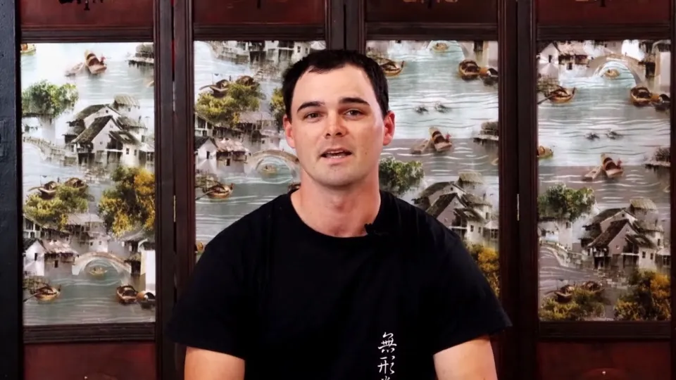 Video testimonial from TJ French, Wu Xing Dao adult student