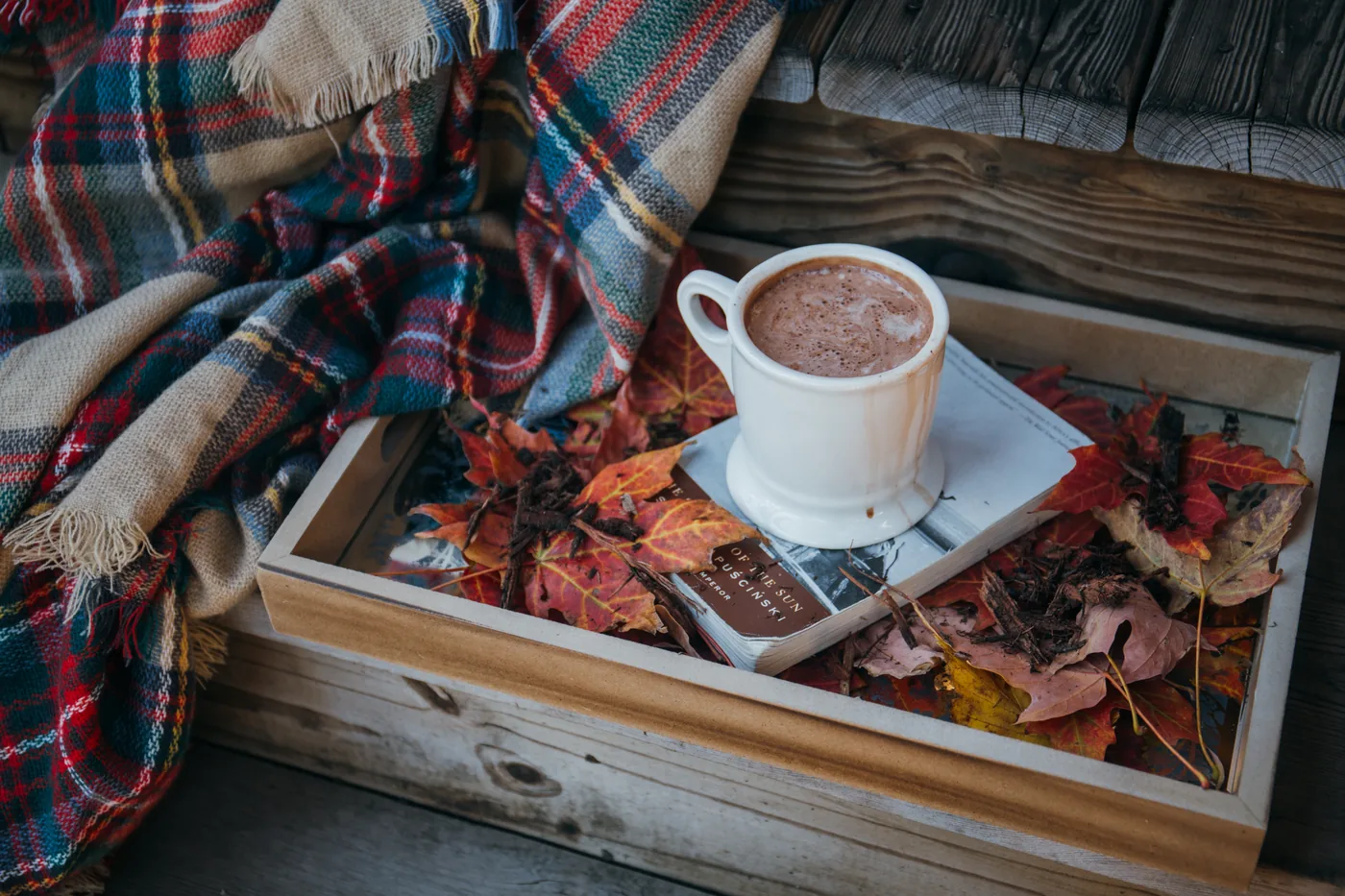 Cozy autumn tray with a mug of hot cocoa on a book, surrounded by colorful leaves and a plaid blanket on rustic wood.