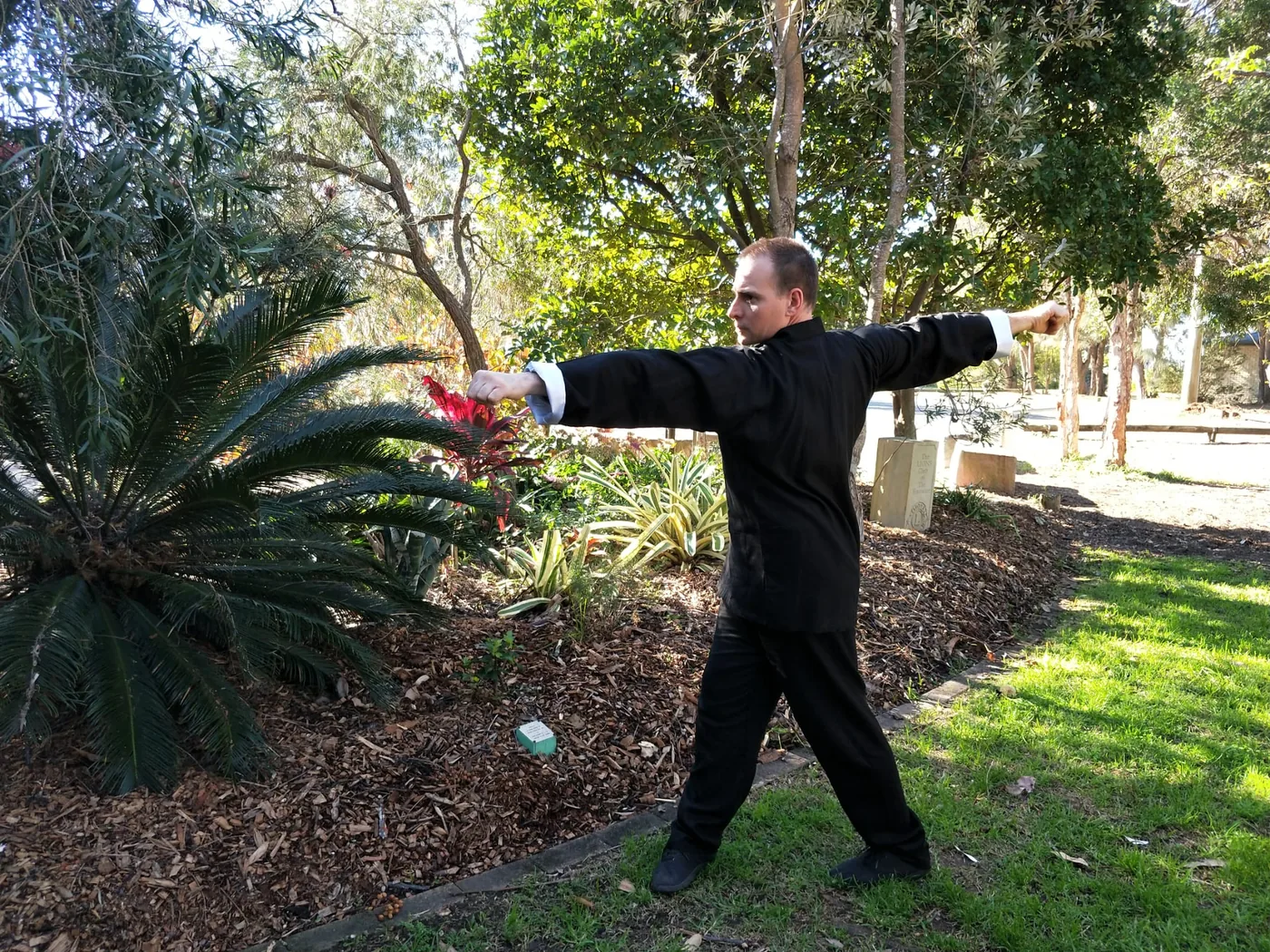 Man in black martial arts uniform holds a wide stance with arms outstretched in a sunny garden with trees and shrubs.