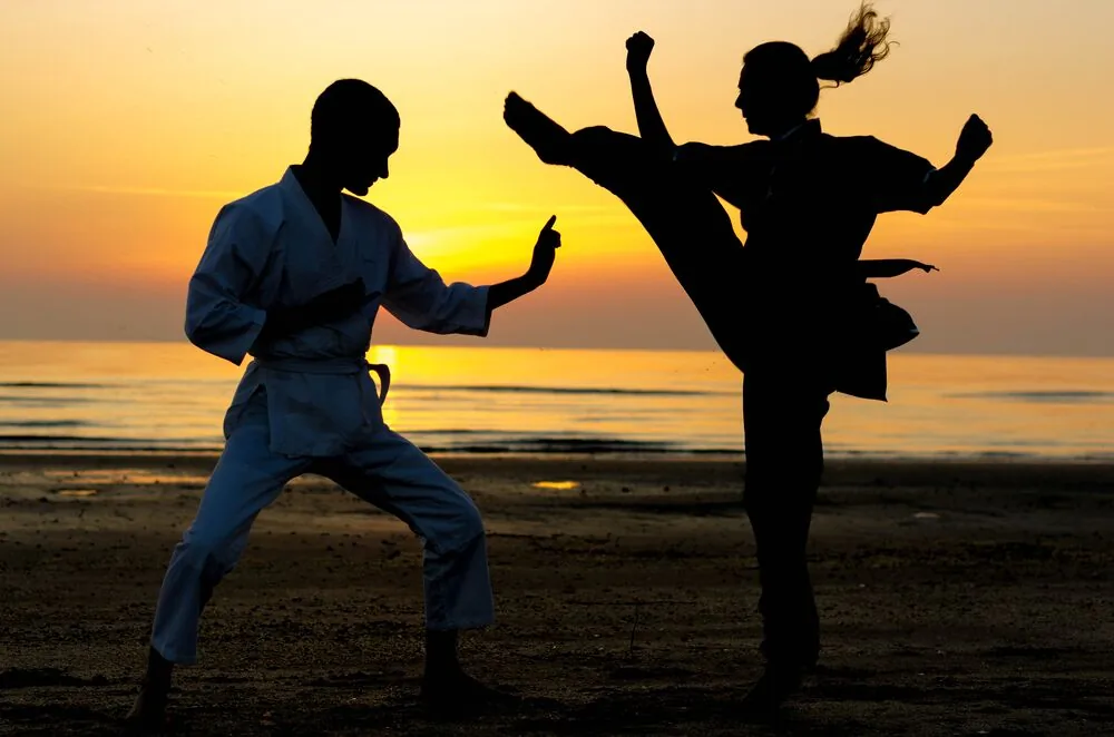 Silhouettes of two martial artists sparring on a beach at sunset, one throwing a high kick against a golden sky.