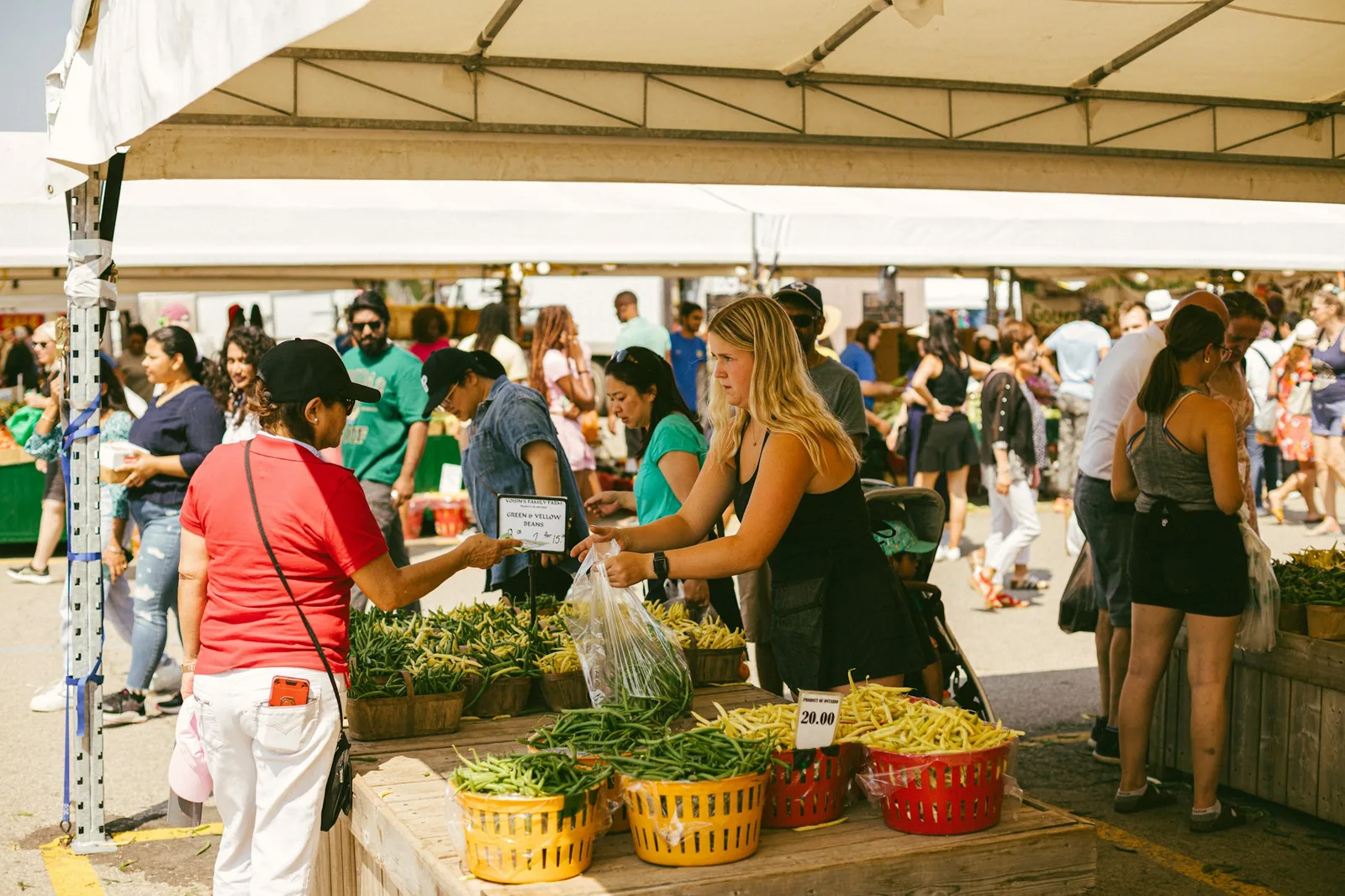 People shopping for fresh produce at an outdoor farmers market.
