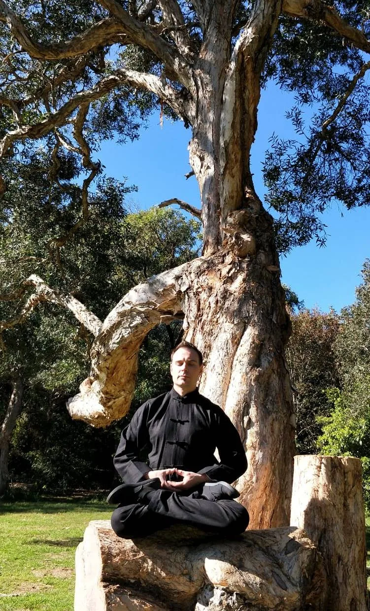 Man in black sits cross-legged meditating on a stone bench before a giant tree in a sunny park.