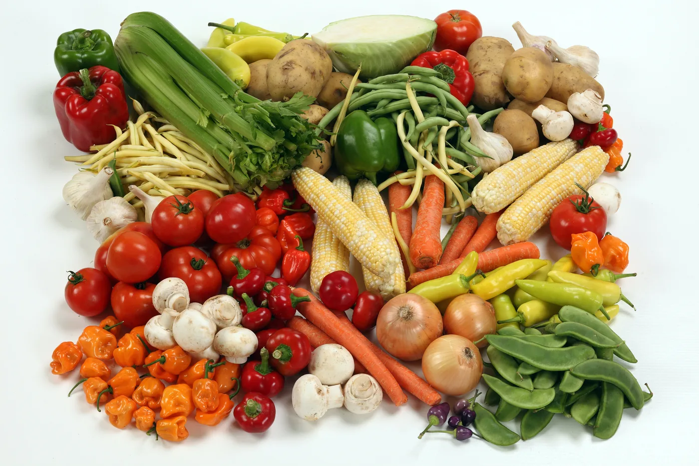 Assorted colorful vegetables—corn, tomatoes, peppers, beans, carrots, potatoes, onions, garlic—arranged on a white background.