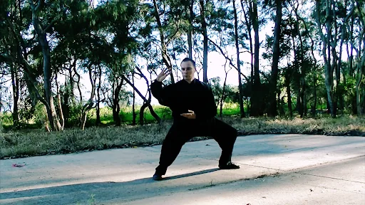 Man in black martial arts outfit holds a low Tai Chi stance on a sunlit road in a wooded park, focused and balanced.