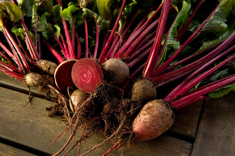 Freshly harvested beets with red stems and green leaves on a wooden table, one cut open to show vivid rings.