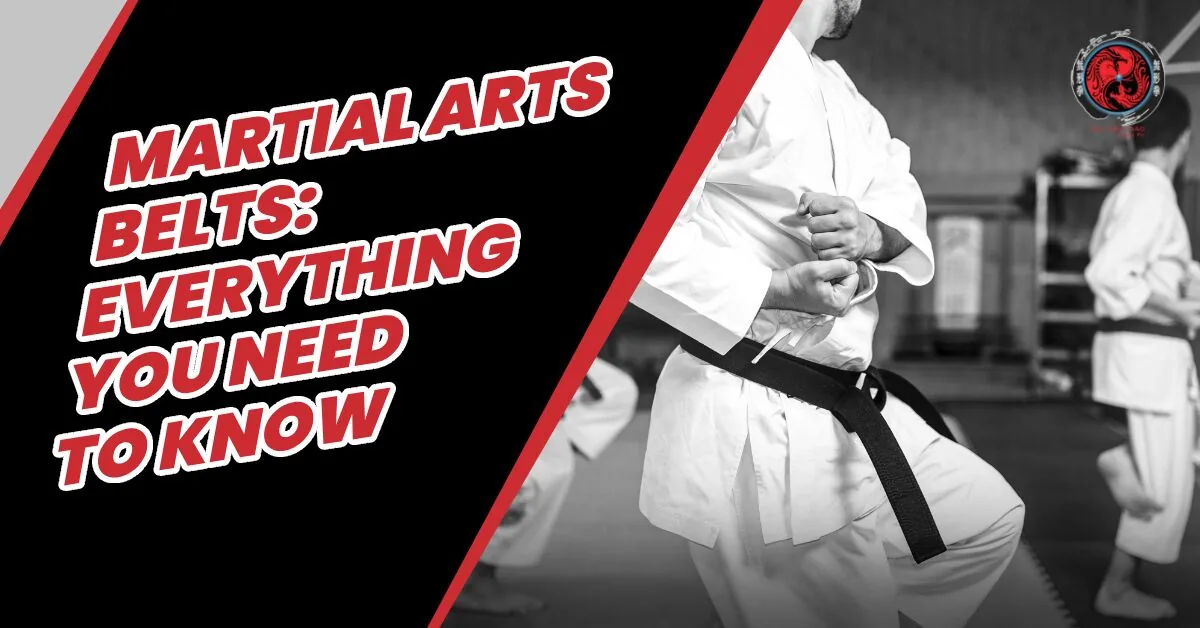 Martial arts belt poster with black-and-white karate students in gis and red text: Everything You Need to Know