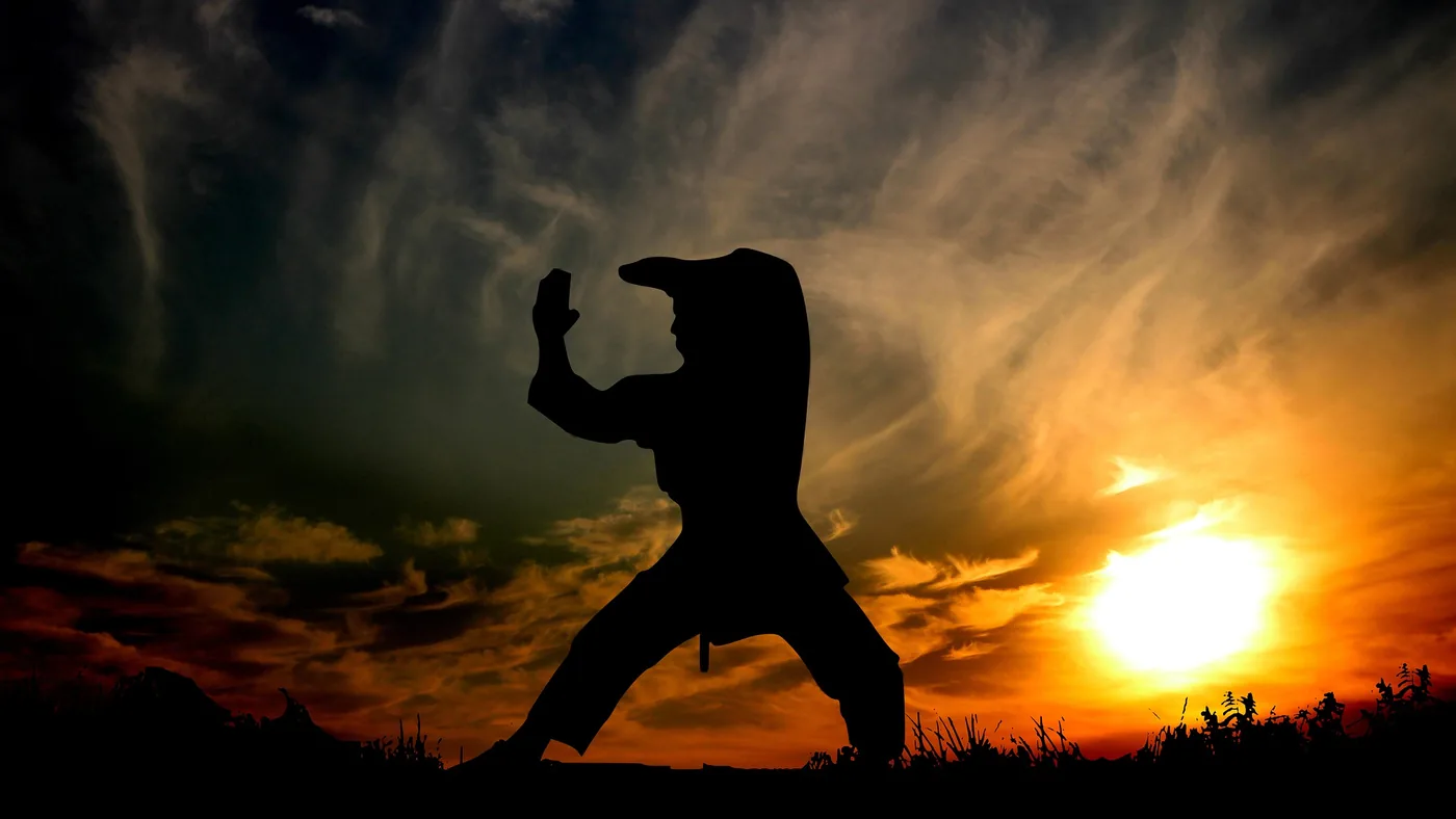 Silhouette of a martial artist posing in a Karate Stance against a dramatic orange sunset with wispy clouds and dark grass foreground