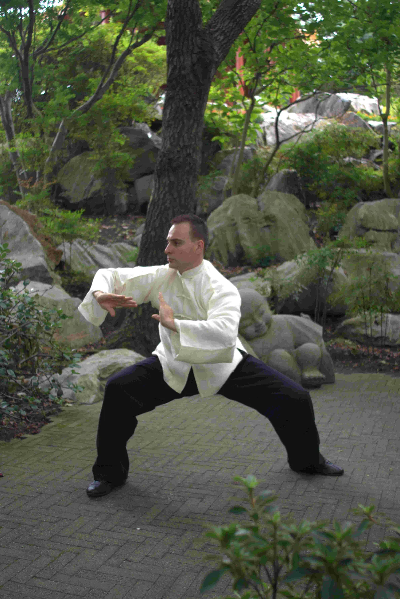 Man in a white tai chi uniform holds a low stance on a stone path in a leafy garden among rocks and trees.