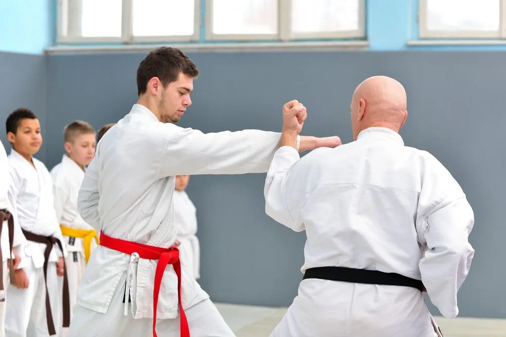Karate class: red-belt student punches a bald black-belt instructor while classmates watch in a bright dojo.