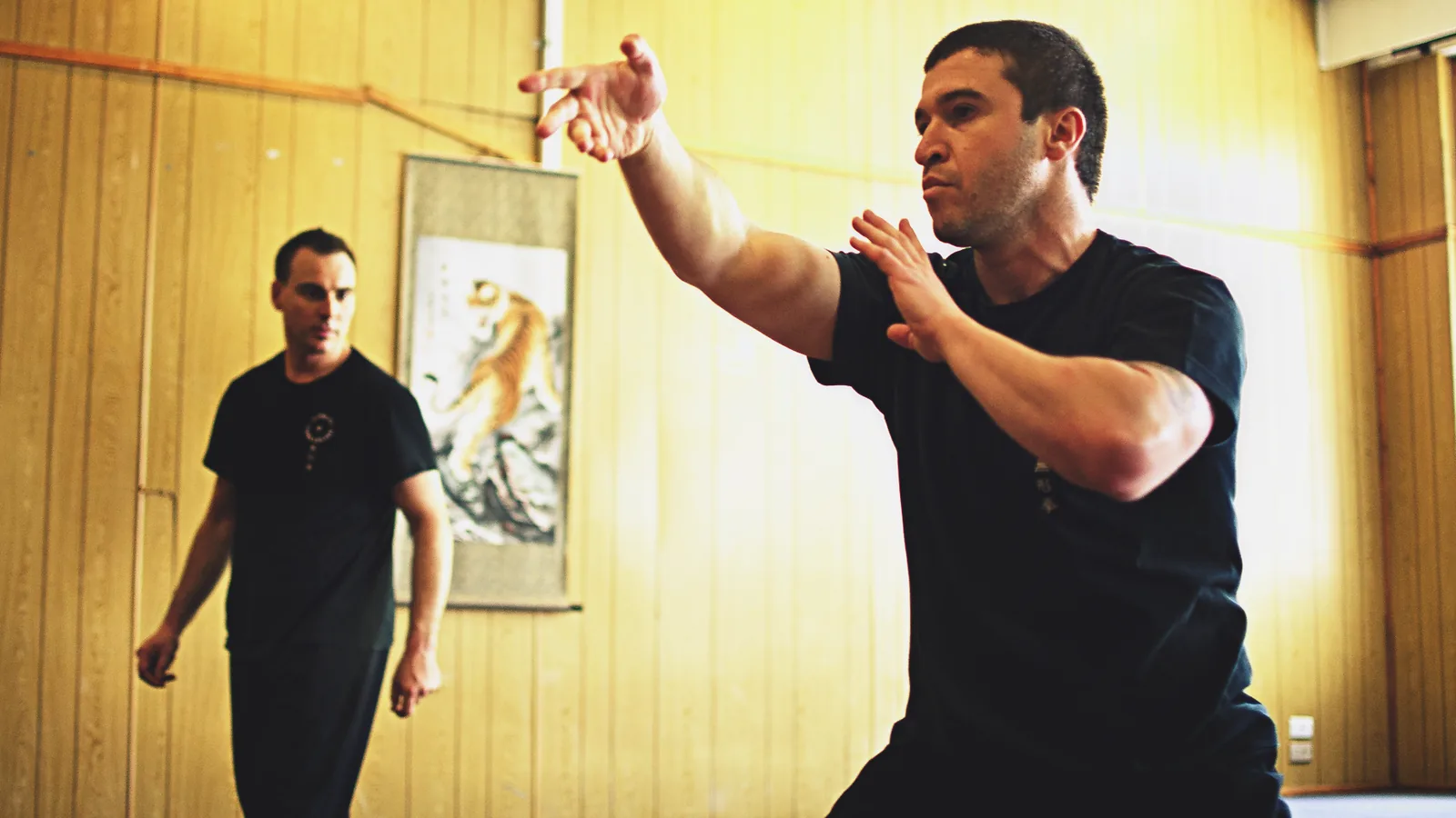Mian Quan (Continuous Fist) free movement practice in the training hall.