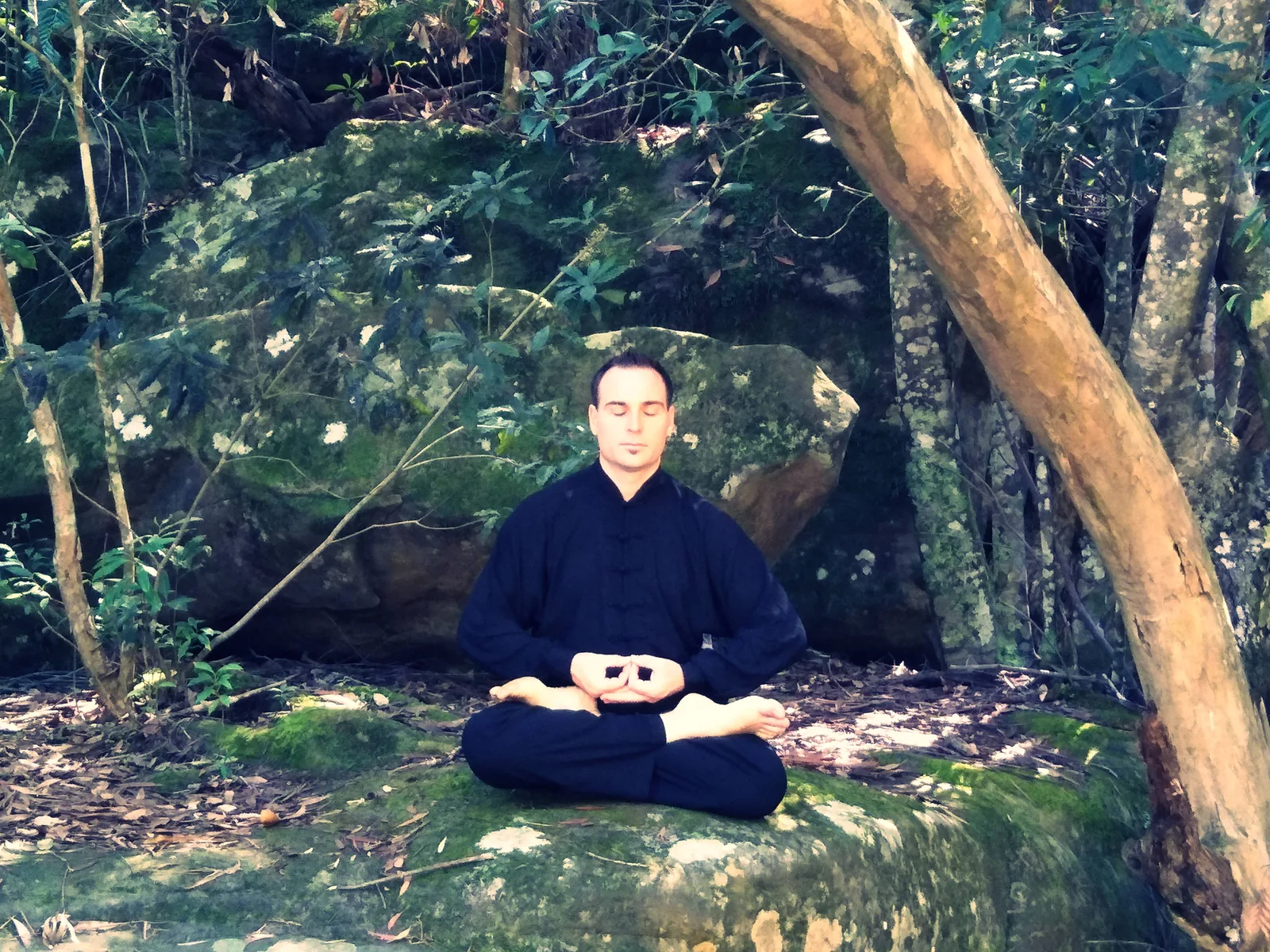 Seated meditation among rocks and trees at Somersby Falls.