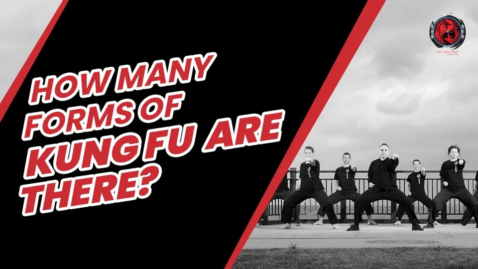 How Many Forms of Kung Fu Are There? video
