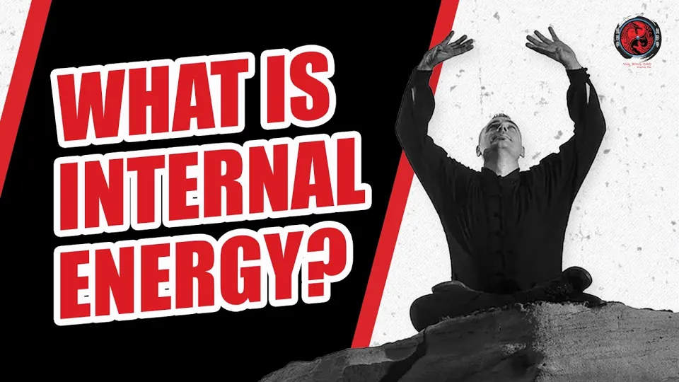 WHAT IS INTERNAL ENERGY? video