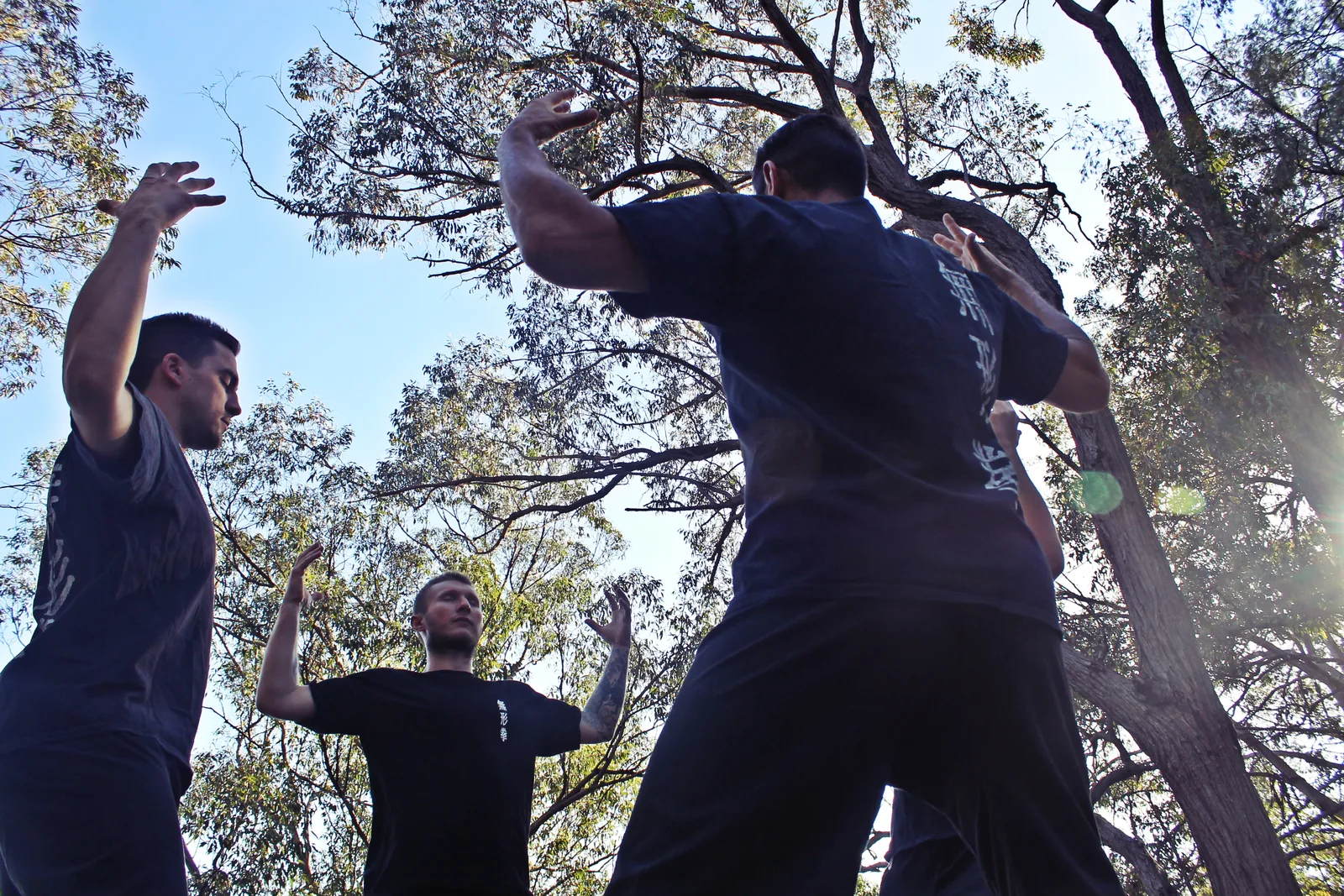 Qigong practice with arms raised beneath the trees at a retreat.