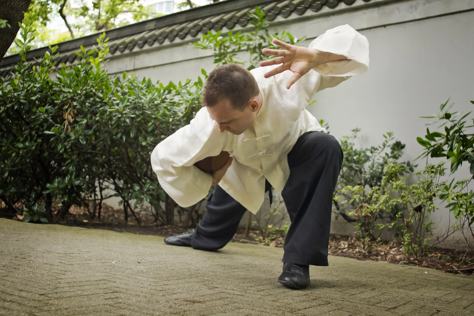Taiji Ball Qigong: rolling a wooden ball in a deep stance.