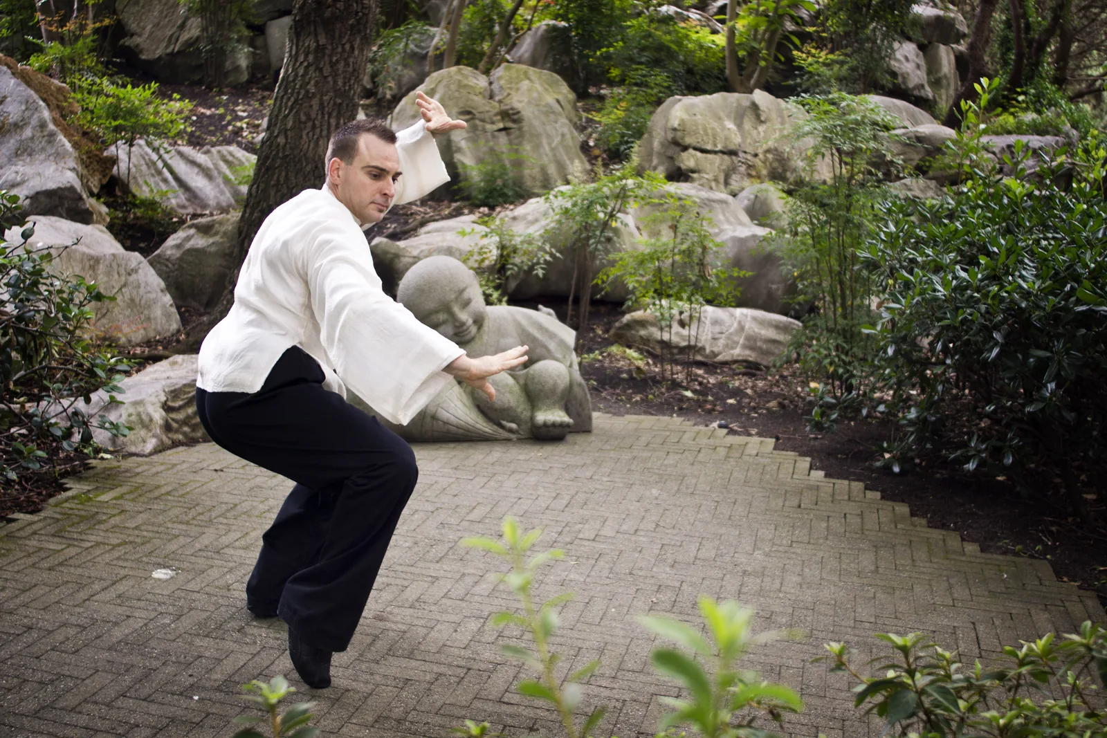 A solid, low Tai Chi stance in a Chinese garden.